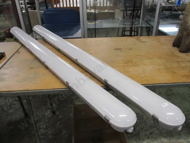 Fleuro Lights Image 1++